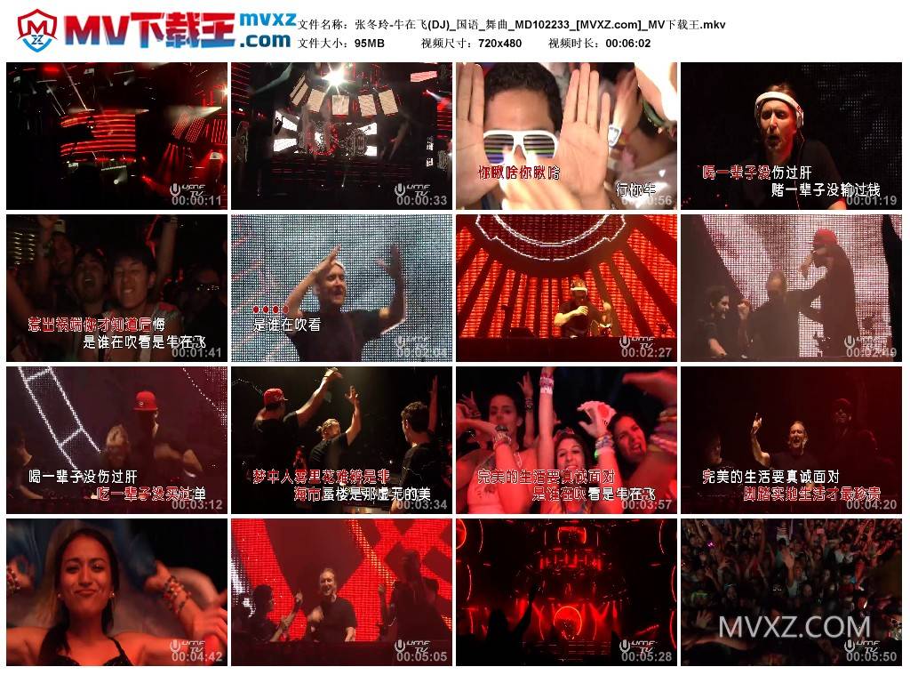 张冬玲-牛在飞(DJ)_国语_舞曲_MD102233